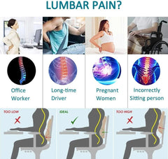 Lumbar Support Pillow for Office Chair, Car Back Support Pillow, Gaming Chairs Back Pillow |Memory Foam Back Cushion with Adjustable Straps, Breathable Mesh Cover & Pain Relief Design